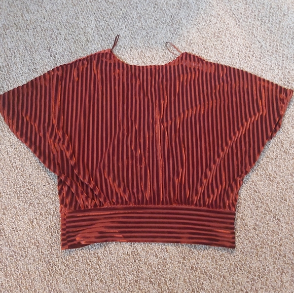 Chose 2 for $25.. DYNAMITE BURNT ORANGE CROP BEAUTY SMALL - Picture 3 of 3
